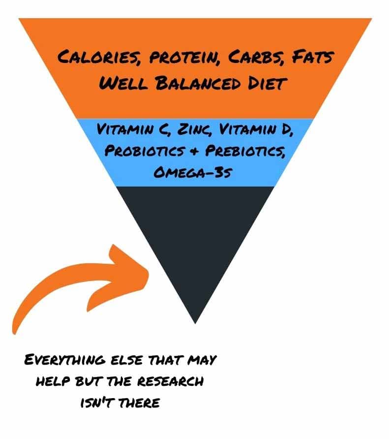 pryamid showing importance of calorie intake over novel foods and supplements for immune function support