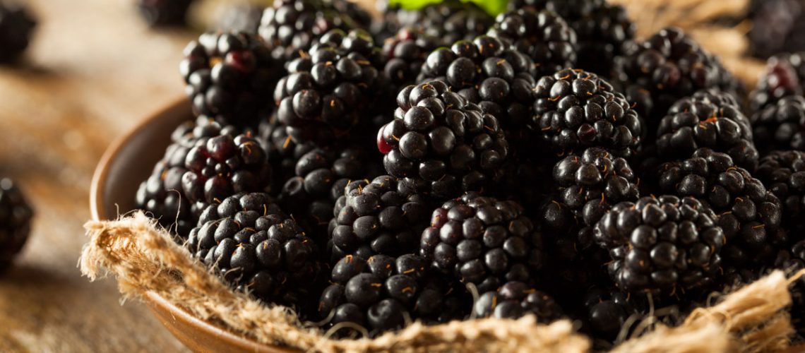 Fresh Raw Organic Blackberries in a Bowl